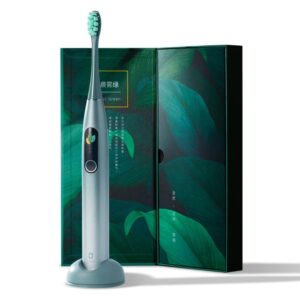 Electric toothbrush Oclean X Pro